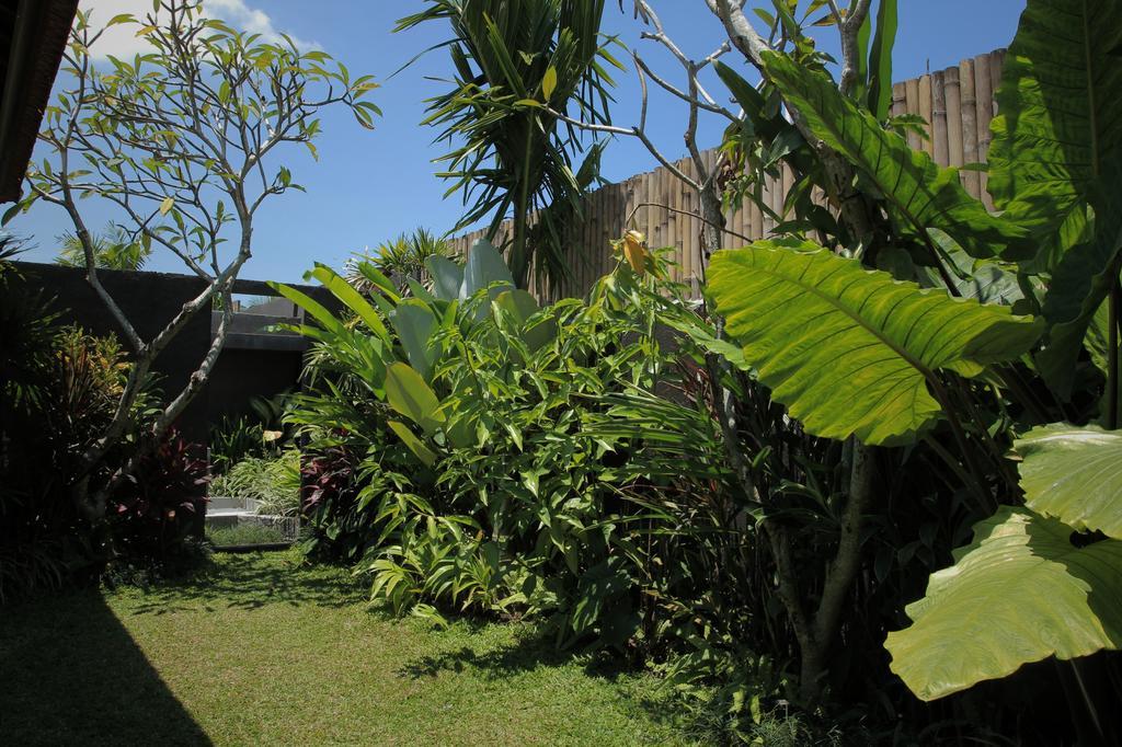 Dugul Ubud Quarto foto