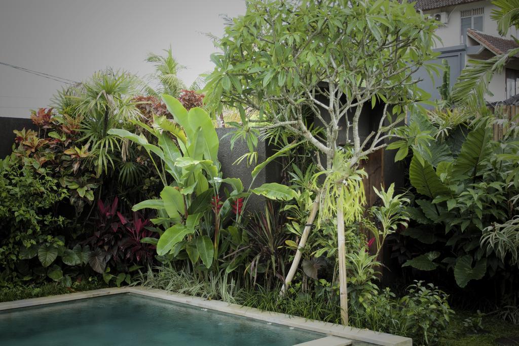 Dugul Ubud Quarto foto